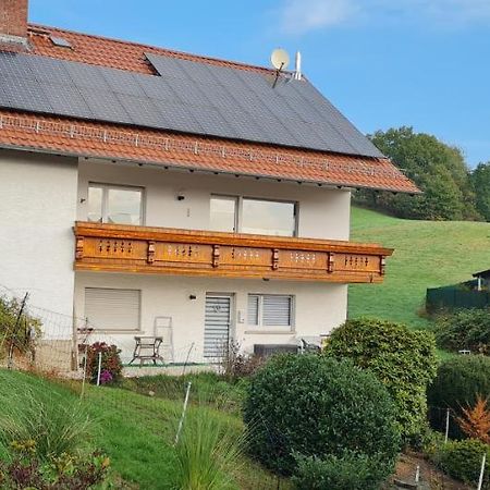 Heppenheim  Ferienwohnung Im Gruenen מראה חיצוני תמונה